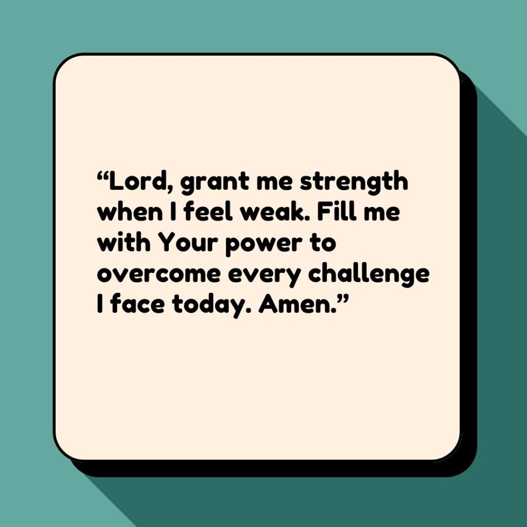 Bible Verse Generator