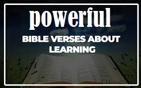 bible verses about learning