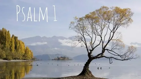 Psalm 1: The Foundation of Biblical Wisdom and Righteousness